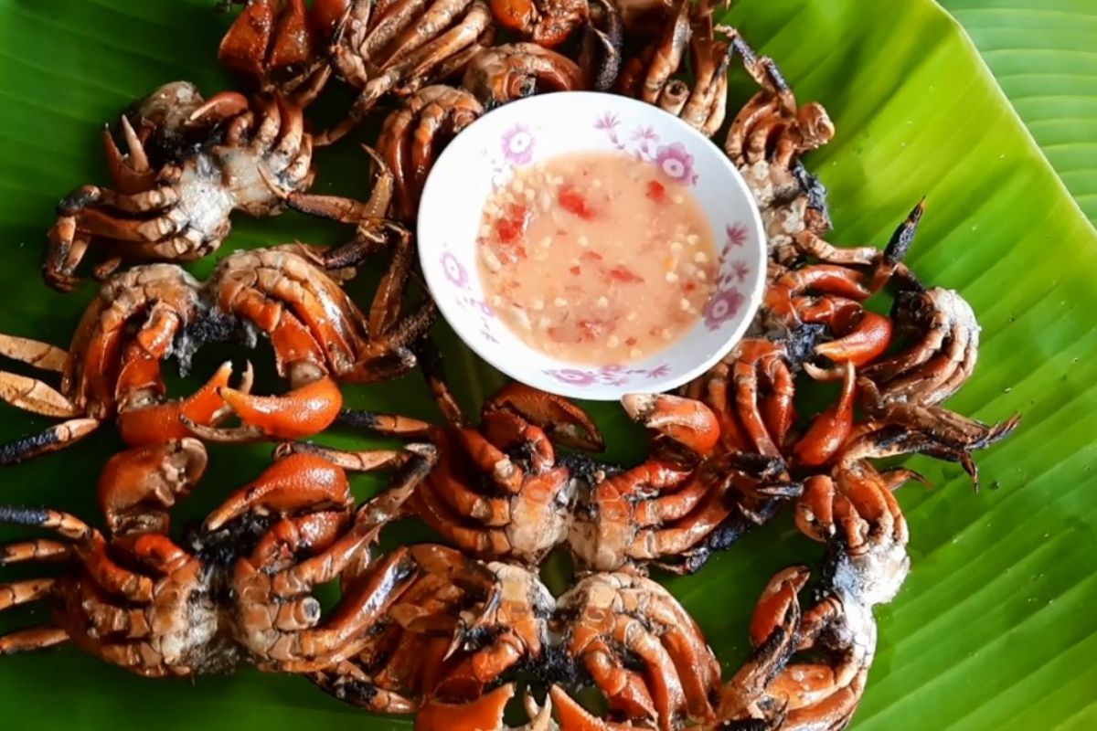 Fermented Ba Khia Crab