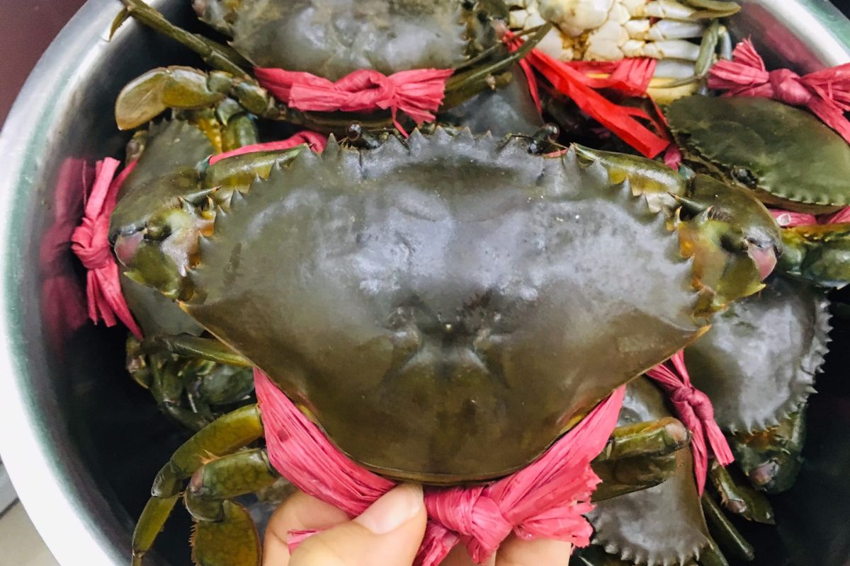  Live Ca Mau Crab at Ca Mau Market