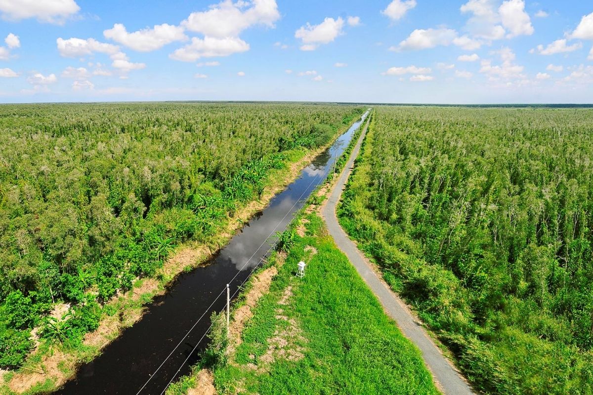 U Minh’s wild heart near Ca Mau