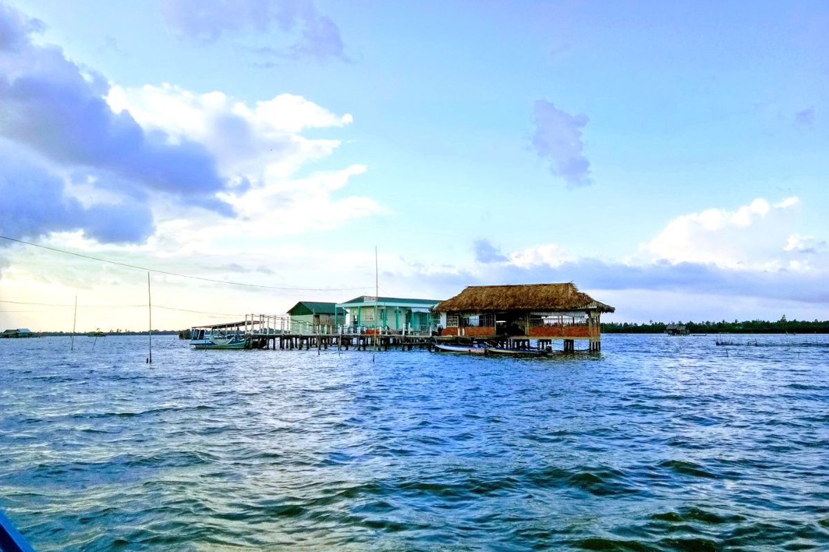 Lagoon life near Ca Mau City