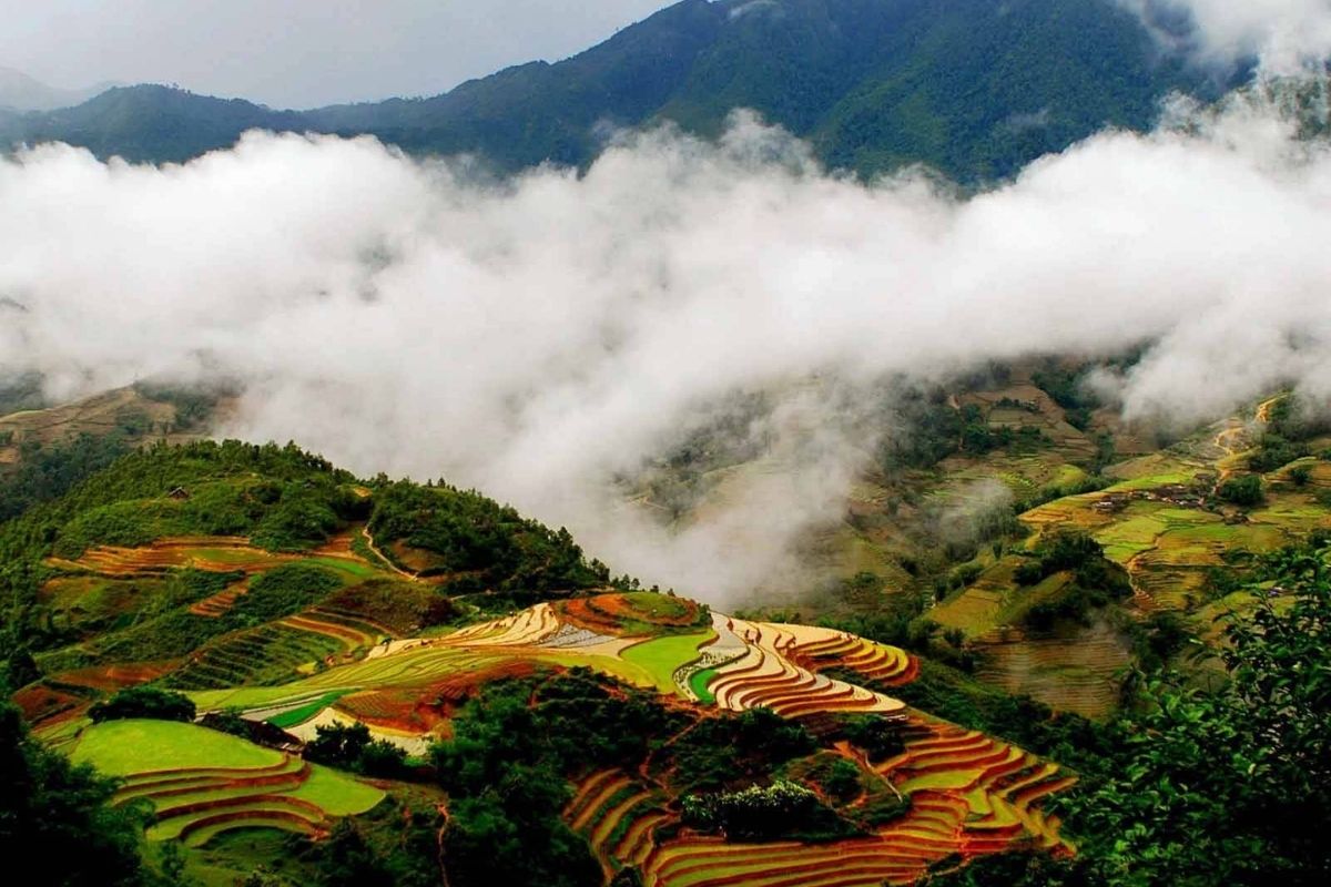 Muong Hoa Valley in January on Sapa