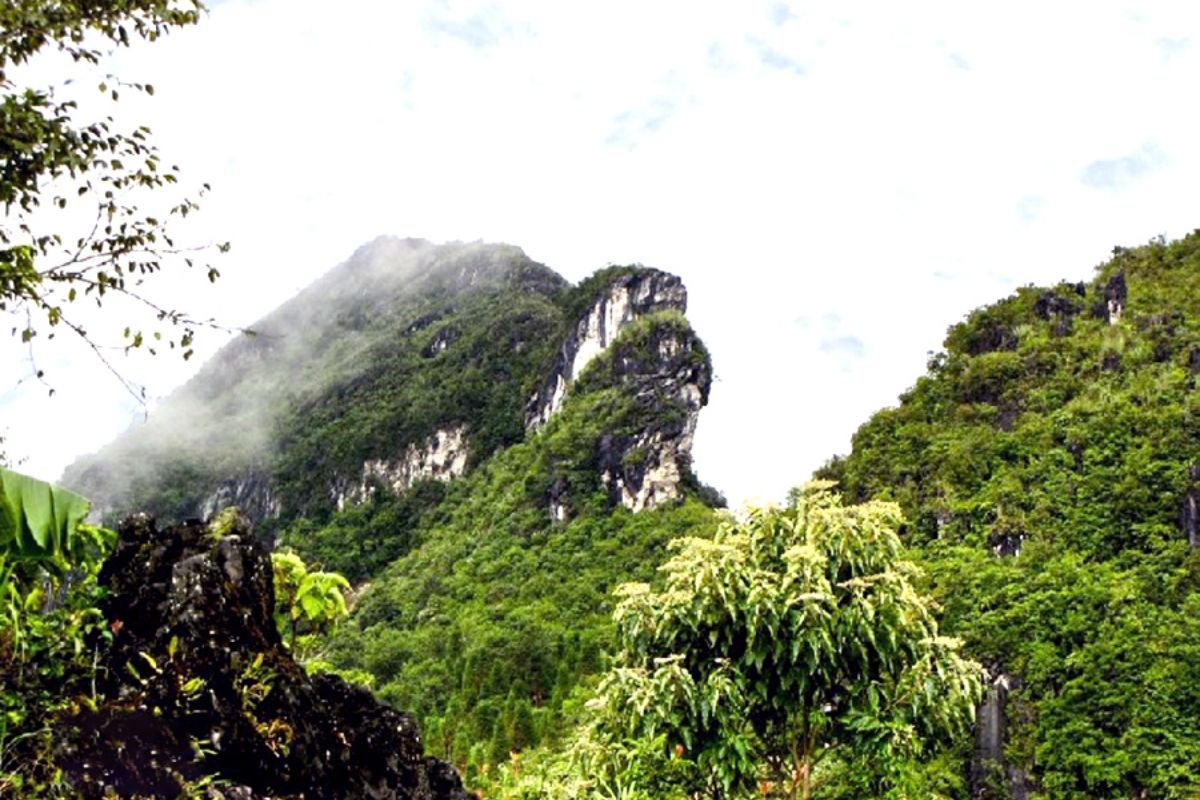 Ham Rong Mountain in January on Sapa