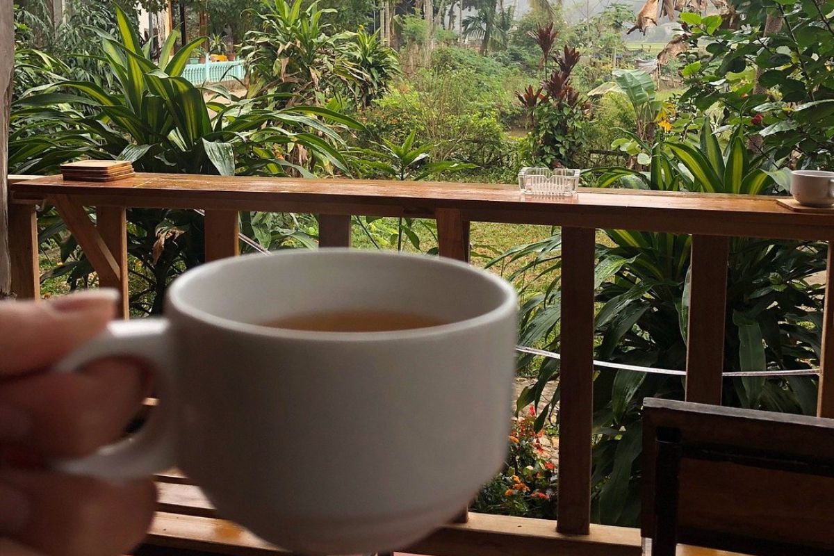Sip Coffee in The Garden