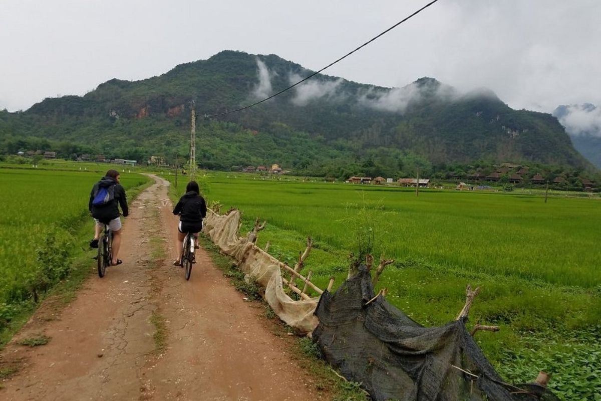 Bicycle Rental to Visit Rice Fields