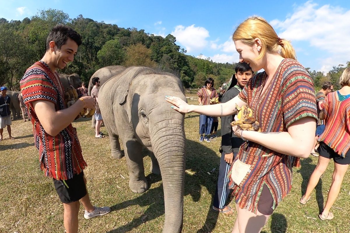 Elephant Sanctuary