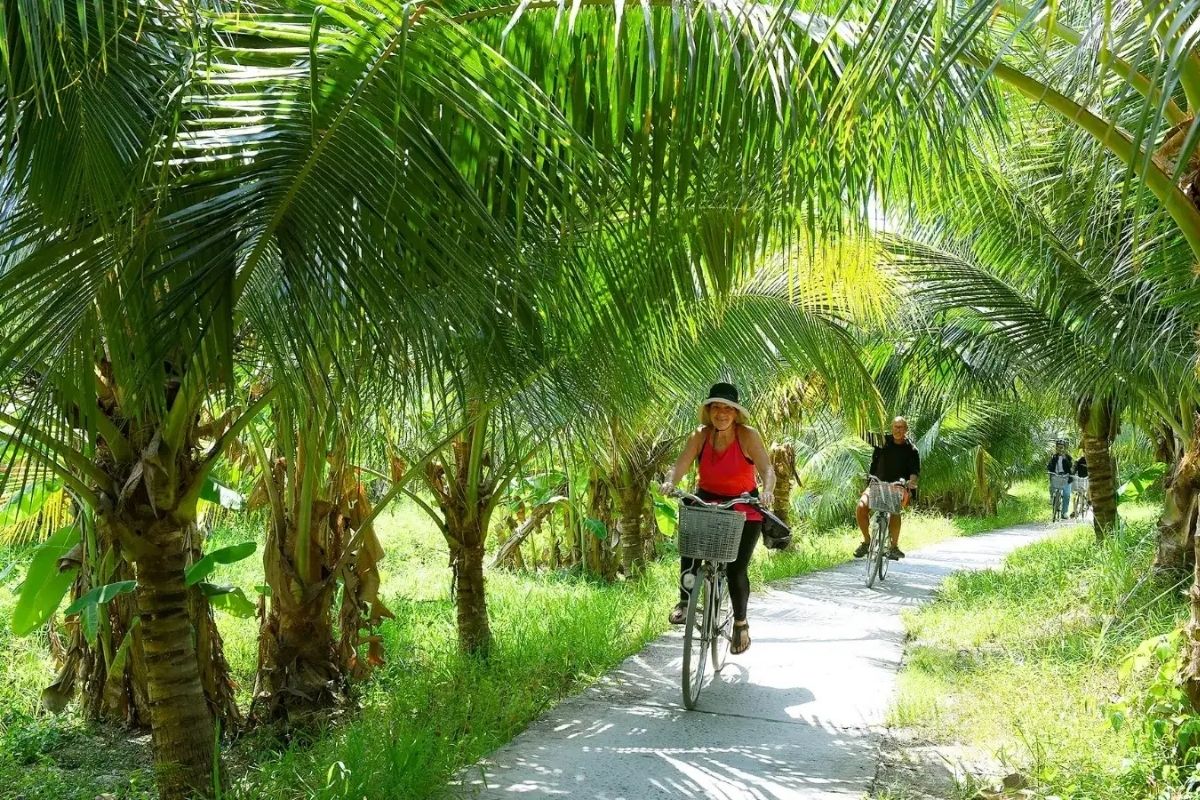 Ride Through Coconut-Lined Roads 