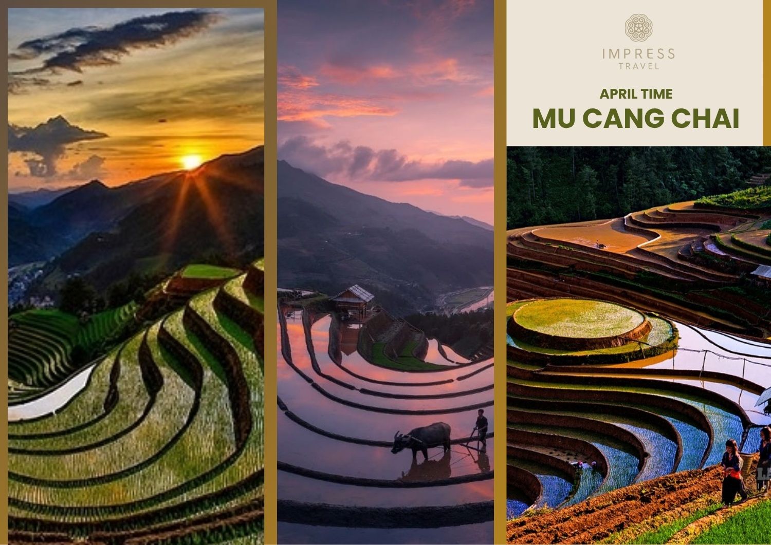 he gentle April sunshine filters across the water-filled terraced rice fields, creating a breathtaking mirror-like landscape in Mu Cang Chai.