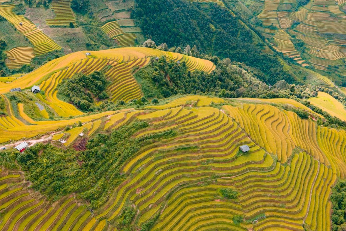 La Pan Tan shines in September Mu Cang Chai