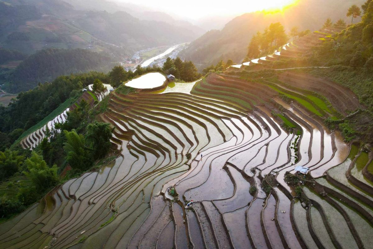 Flooded rice terraces, Mu Cang Chai weather