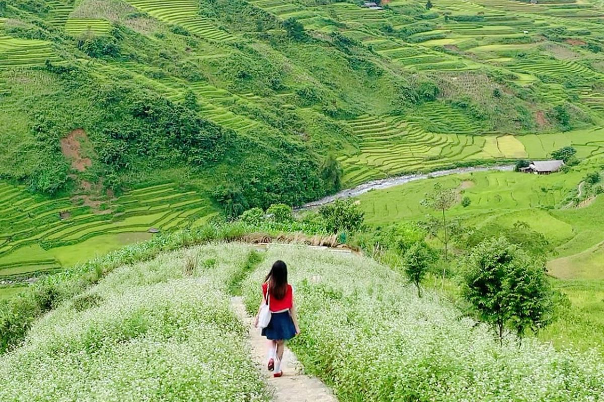 Relaxed walks on stepped paths