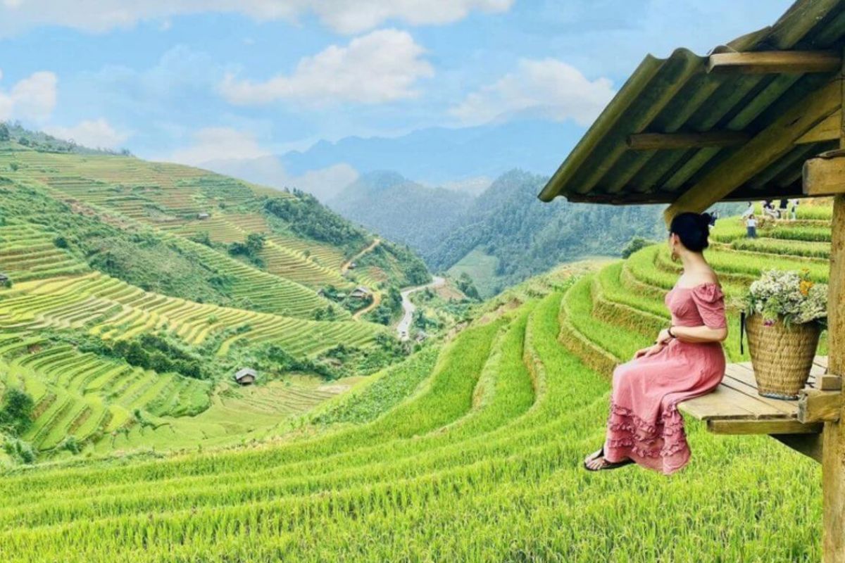 Admire La Pa Tan’s Greenery