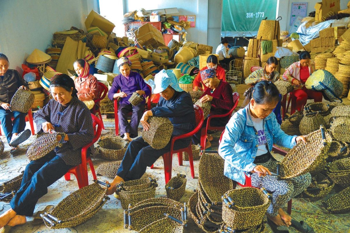 Visit Kim Son sedge village in December