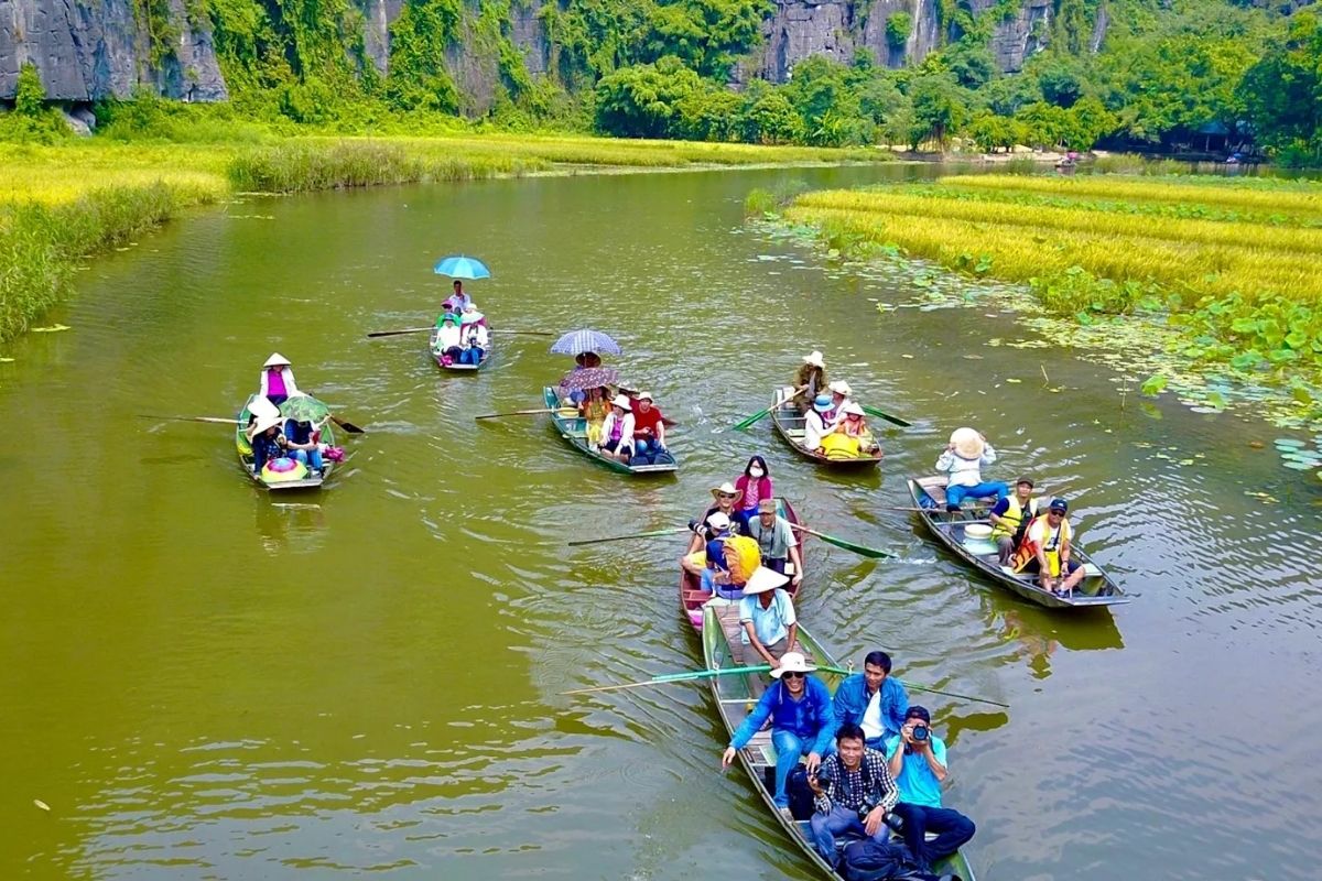 Tam Coc boat ride, golden fields, Ninh Binh weather May 