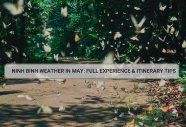 Ninh Binh Weather in May: Full Experience & Itinerary Tips