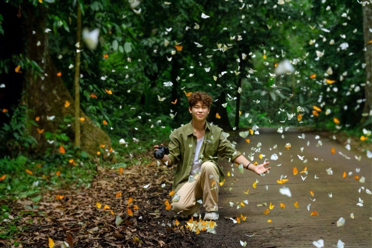 Butterfly watching in Cuc Phuong Park during ideal Ninh Binh weather in May