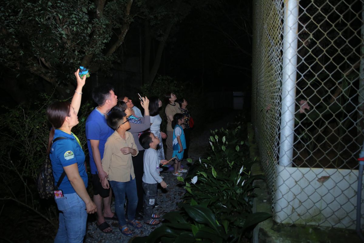 Night Tour in Cuc Phuong Forest