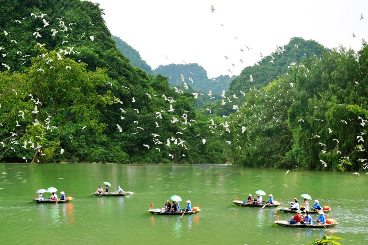 Bird Watching at Thung Nham Bird Park