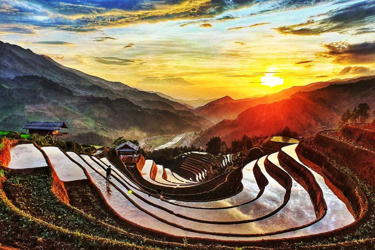 Mirror-like Terraced Fields in Sapa 