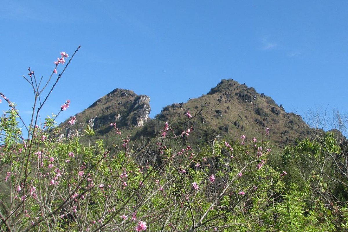 Ham Rong Mountain in April on Sapa