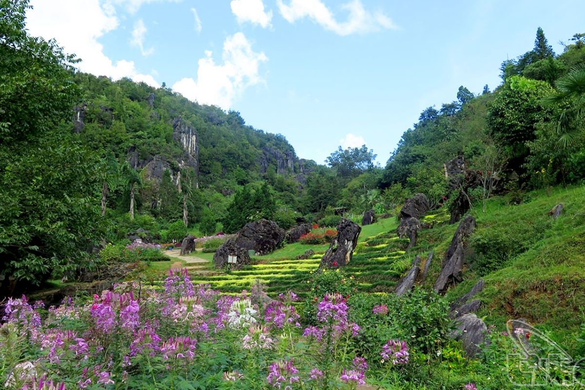 Late blooms behind Ham Rong in March on Sapa