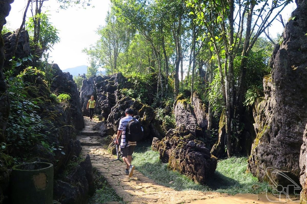 Trekking Ham Rong Mountain Trail in March on Sapa