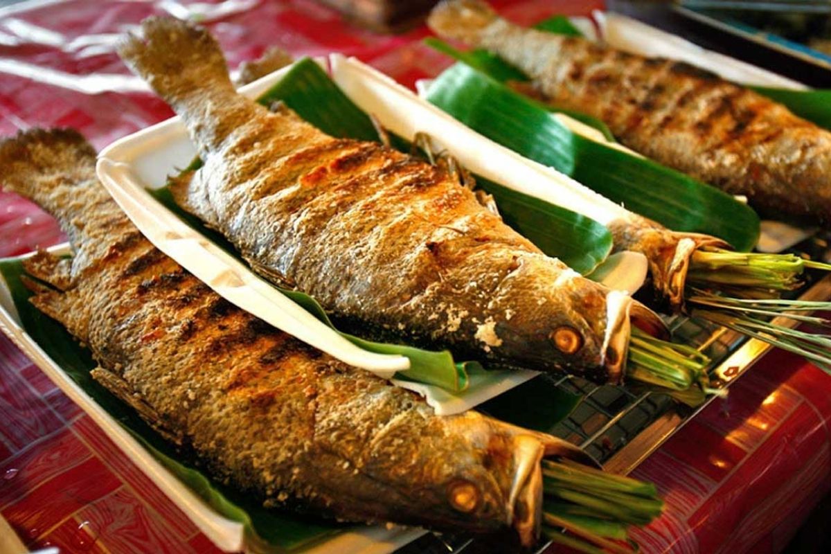 Grilled Stream Fish
