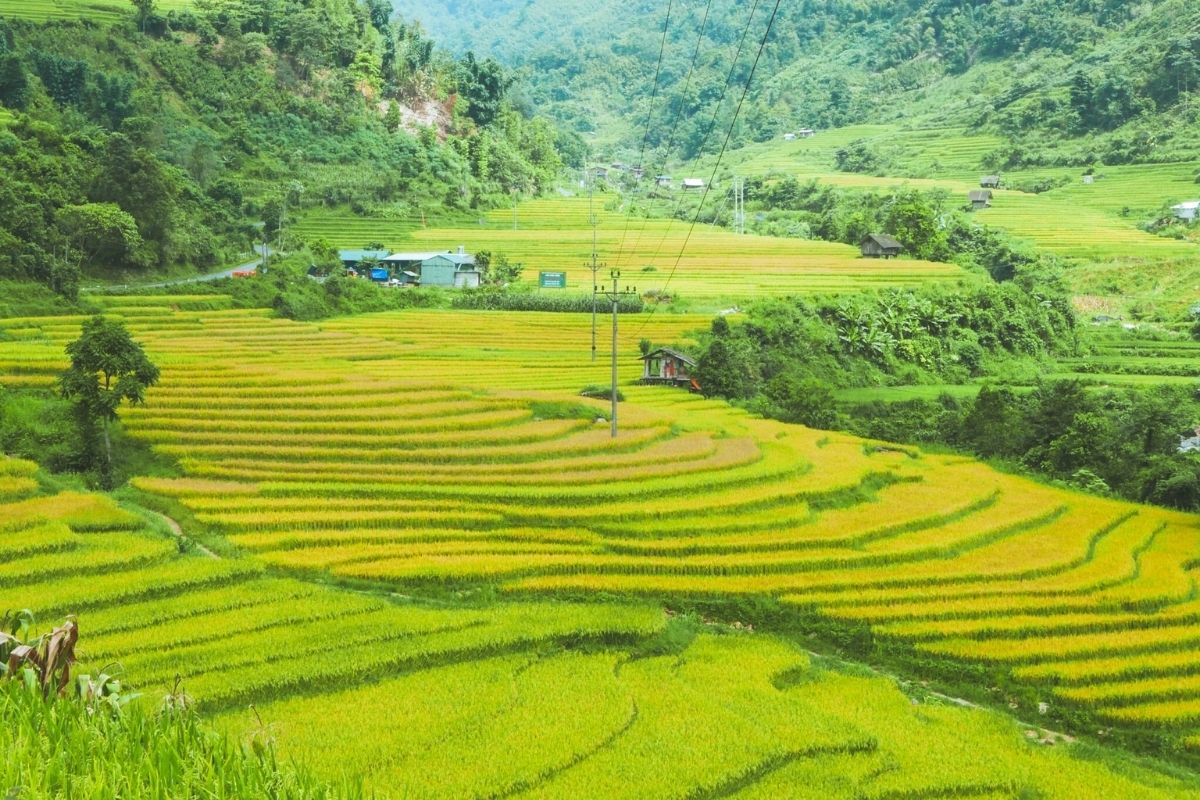 Mythical rice terraces, Sapa Vietnam elevation
