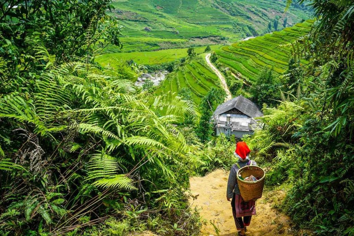 Trekking Across Terraced Landscapes