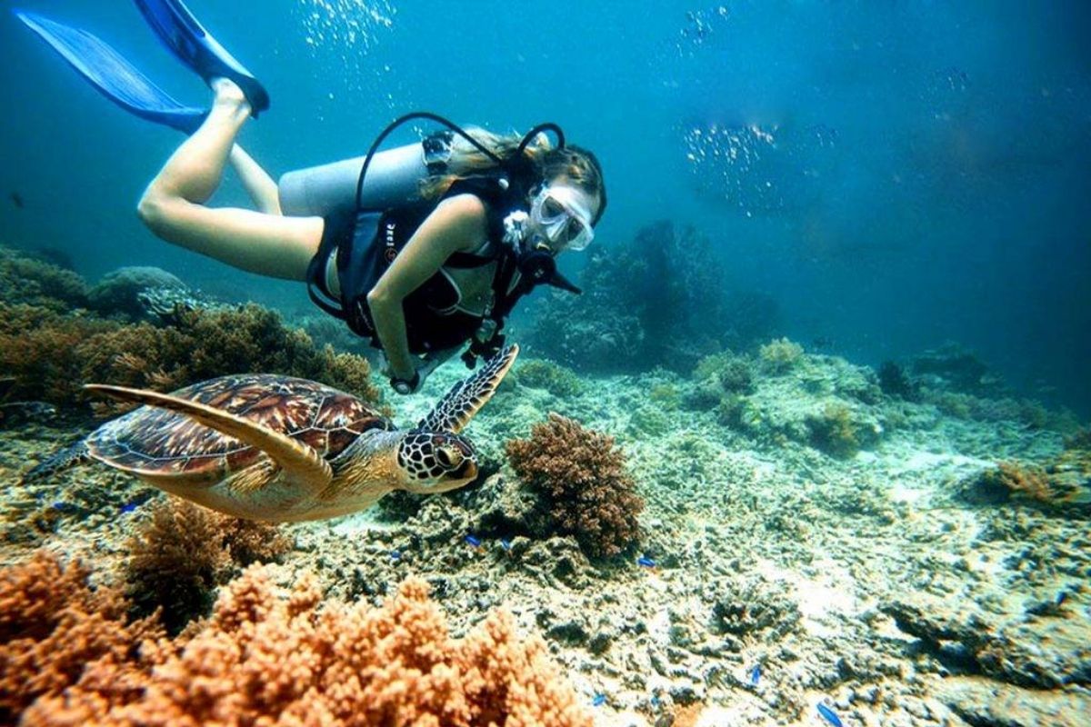 Scuba diving Da Nang at Cu Lao Cham