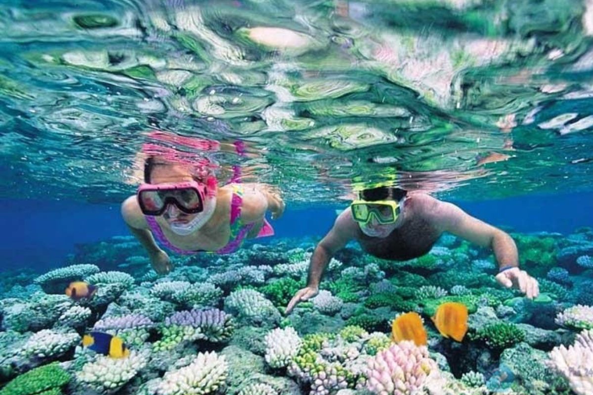 Coral Viewing from the Water in Cu Lao Cham
