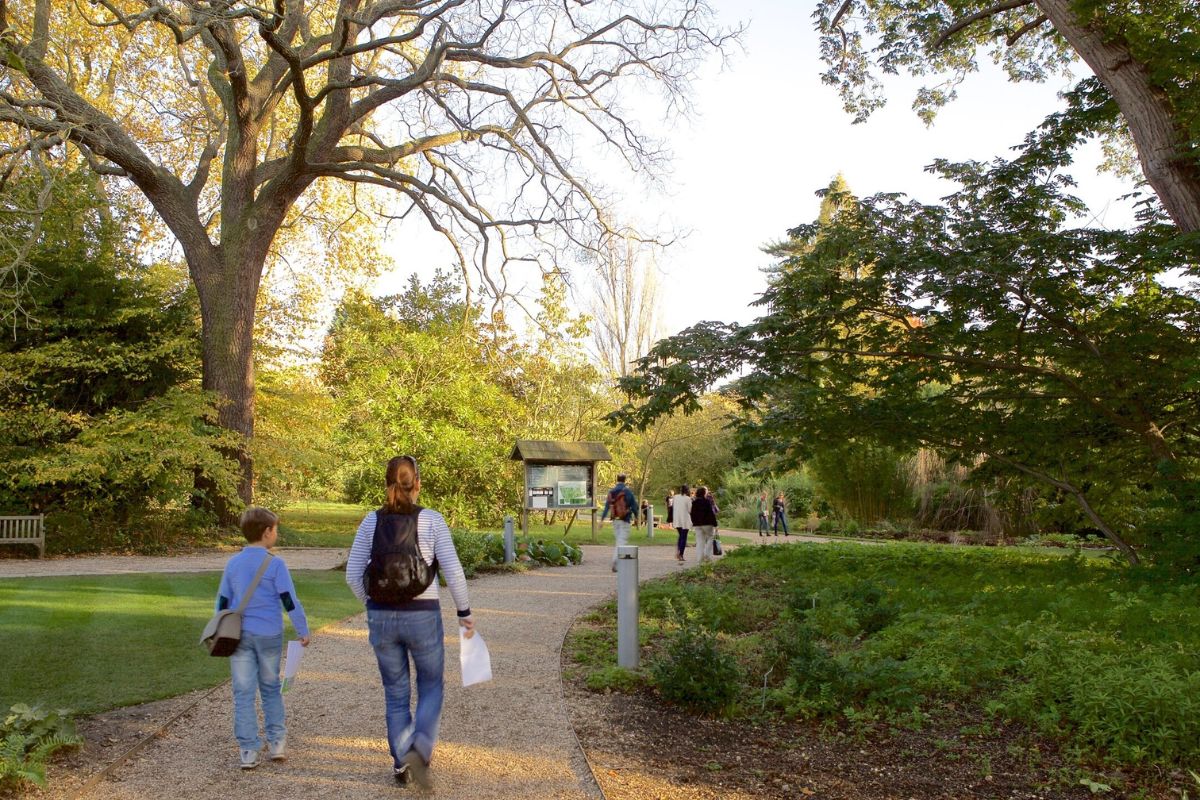 Stroll Through the Botanical Garden
