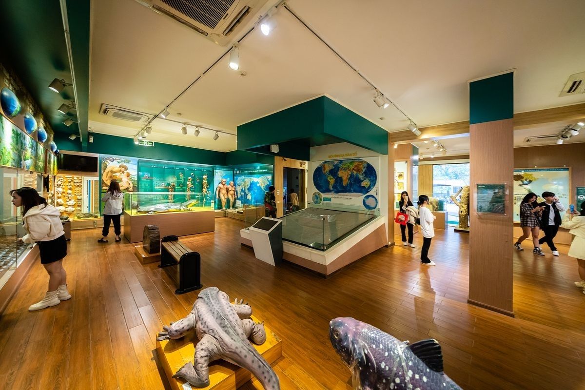 See ancient creatures, Thing to do in Hanoi
