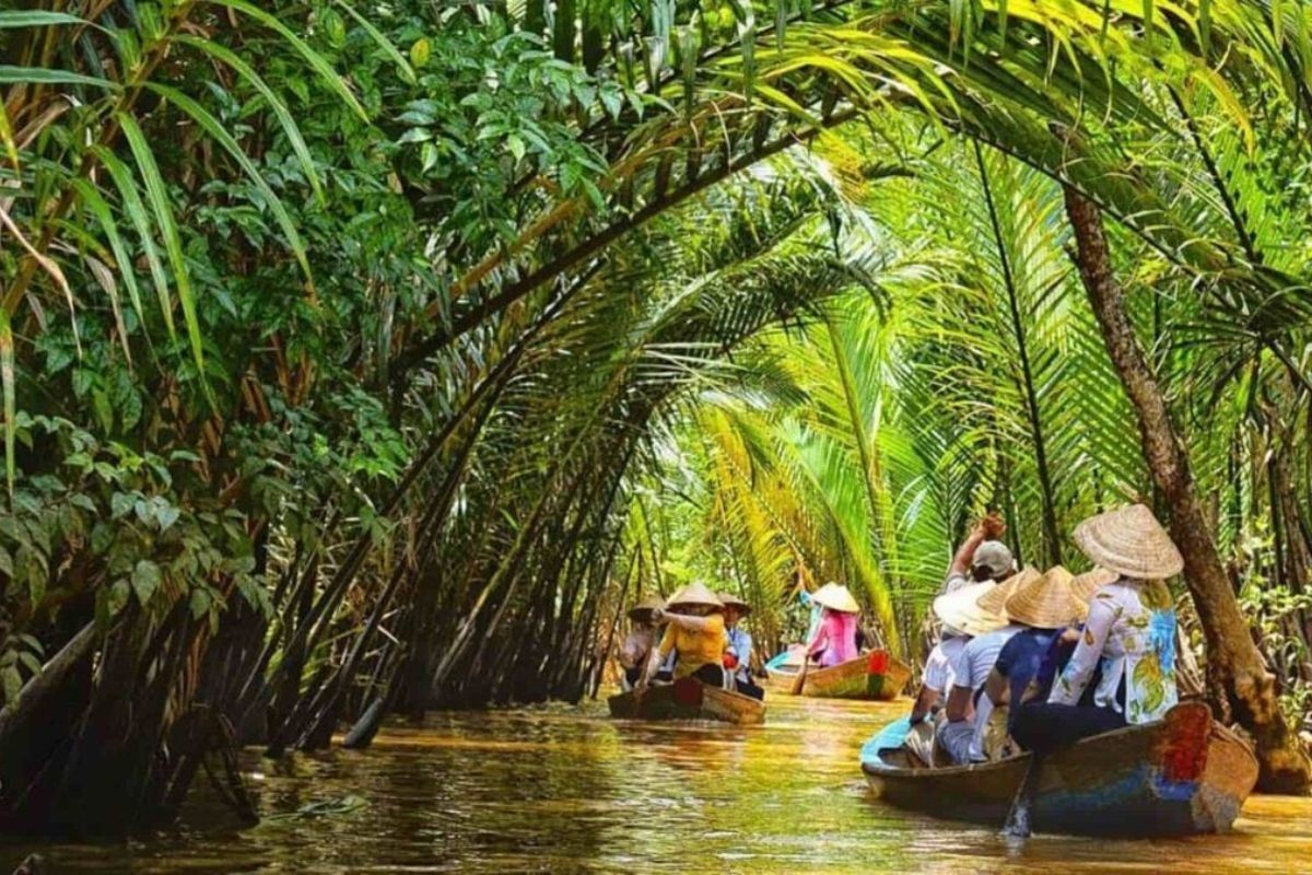 Sampan Ride Under Nipa Palms in Ben Tre