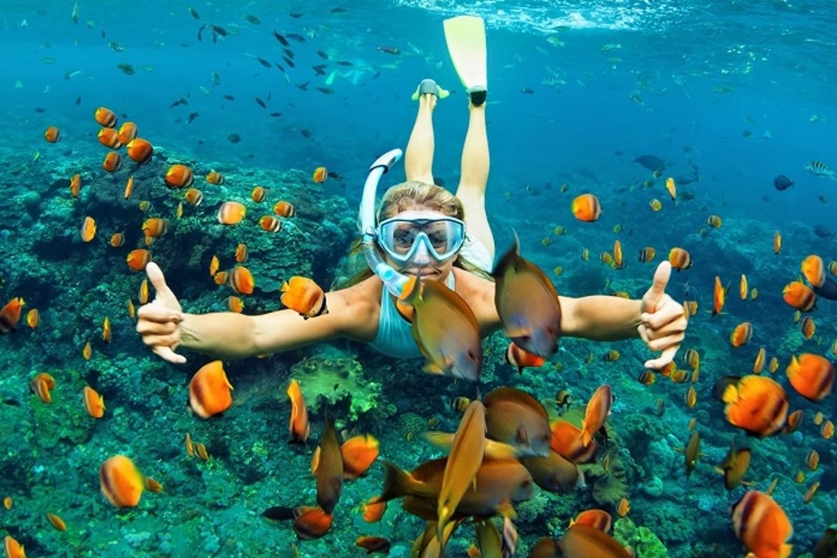 Snorkeling in May Rut Island