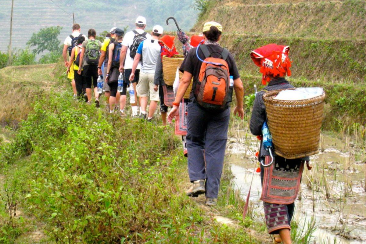Trekking Sapa 