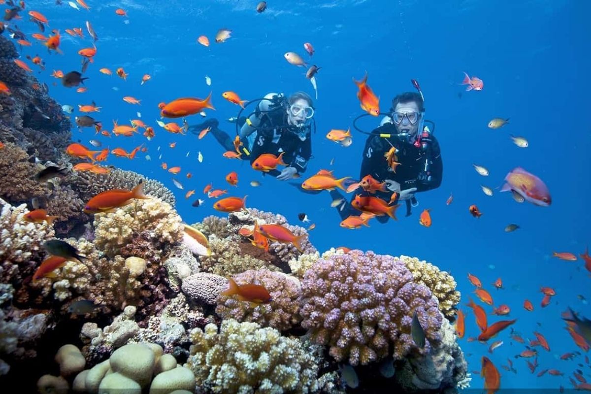 Snorkeling together at Whale Island Resort Nha Trang