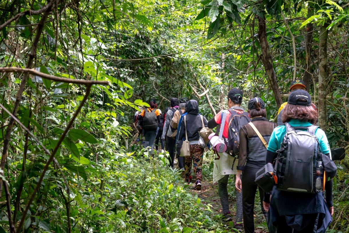 Jungle trekking adventure in Cat Tien