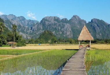 19. Vieng Thong (Nam Et–Phou Louey)