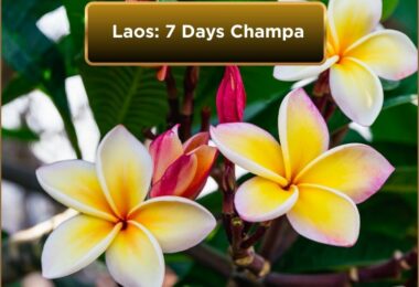 Laos_ 7 Days Champa