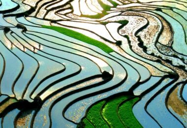 Sapa Rice Terraces