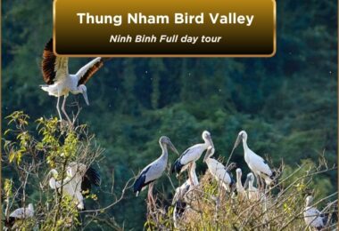 Thung Nham Bird Valley