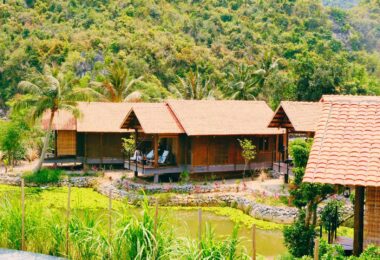Cabalina Grove in Cat Ba Island (2)