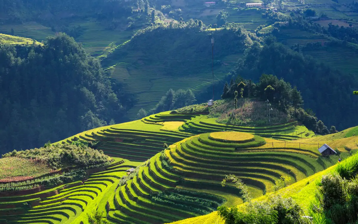 The endless majestic beauty of Mu Cang Chai’s rice terraces