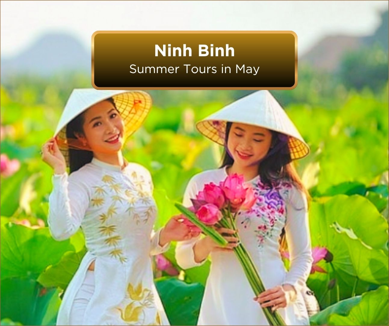 Ninh Binh Summer Tours in May