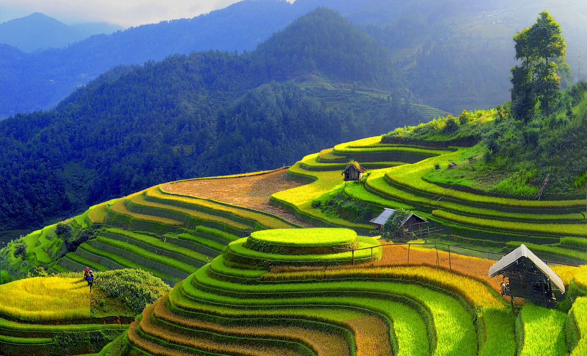 The endless majestic beauty of Mu Cang Chai’s rice terraces