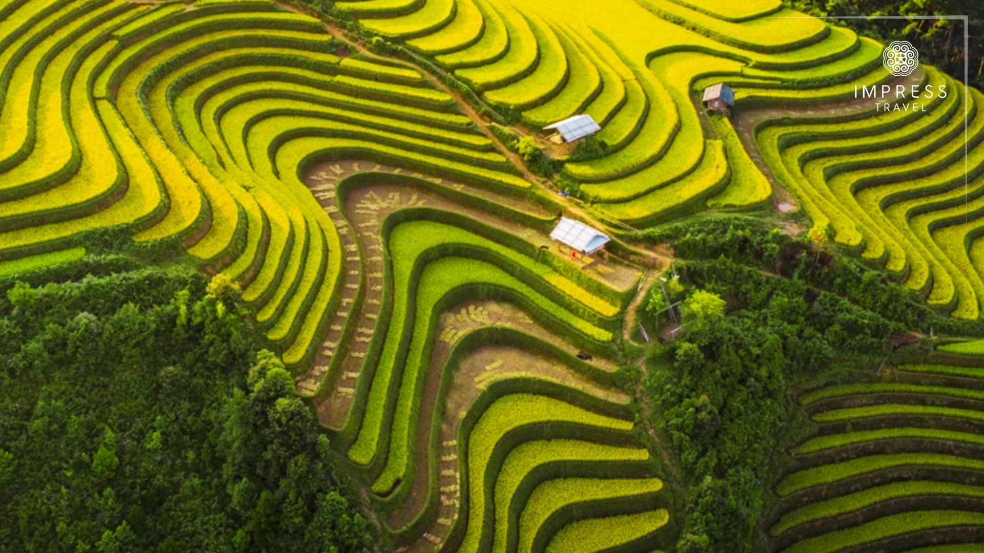 Hau Chua La Waterfall in Mu Cang Chai