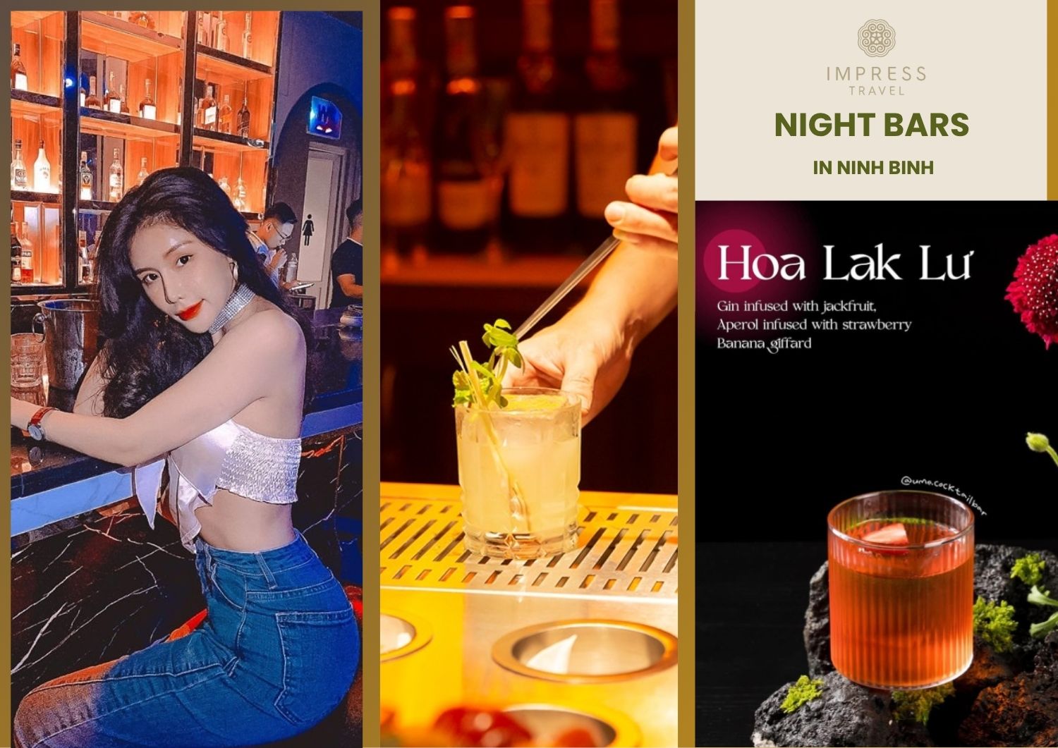 Night bar in Ninh Binh and tour