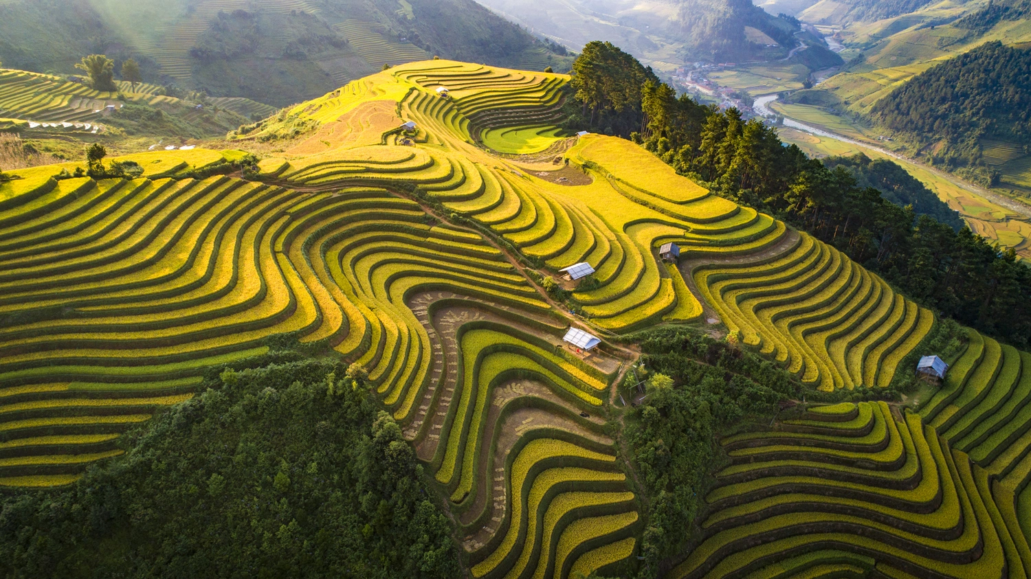 Tu Le Valley Mu Cang Chai