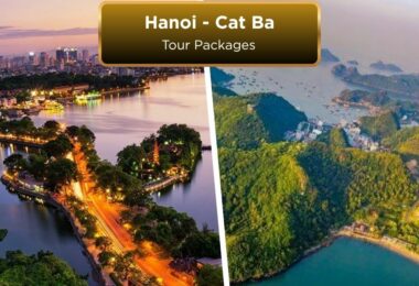 hanoi cat ba island tour