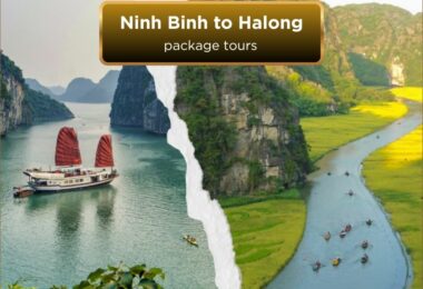ninh binh halong package tours